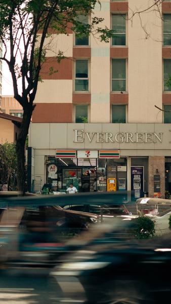 Nature landscape photography — tree silhouette at golden hour, Indiana countryside